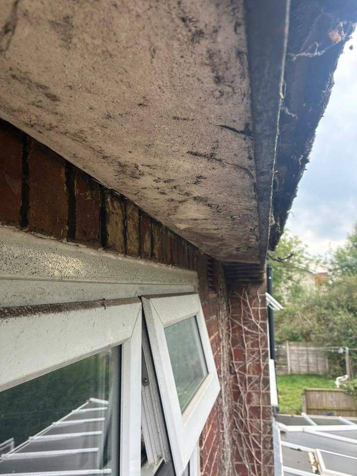 Painted timber soffit and fascia blackened and breaking up along the eaves of a brick house