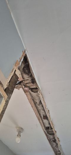 Structural timber exposed at a ceiling corner