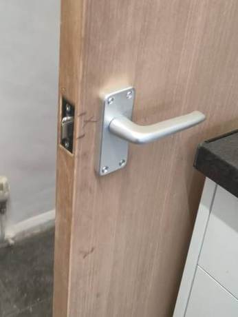 New lever handle and latch fitted to an oak-veneered internal door