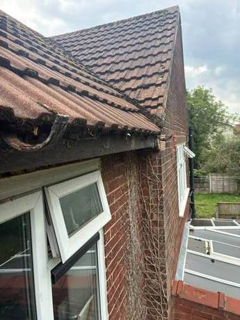 Tiled roof slope running to a renewed eaves detail above a window