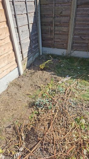 New fence with the gravel board bedded down onto the ground