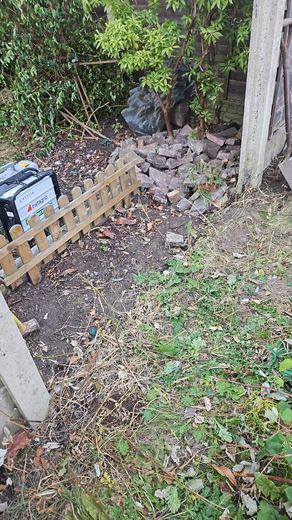 Boundary cleared of the old fence, ready for the new posts