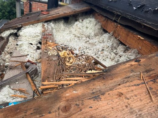 Outrigger roof stripped back to the joists with the old boarding up and loose-fill insulation exposed
