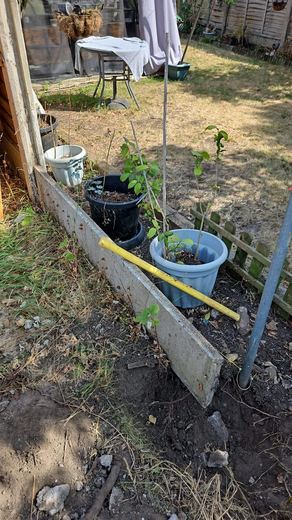 Fence post and rail set out against the boundary before the new fence goes up