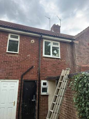 Rear elevation of a brick house with a ladder in place at the eaves