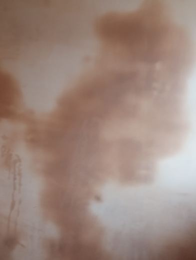 Freshly skimmed wall drying out to an even colour